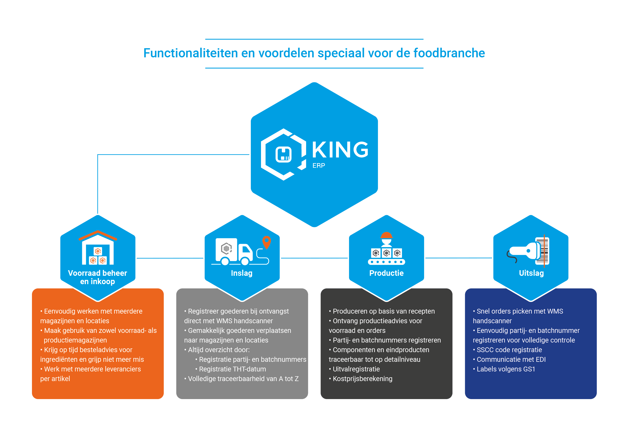 Infographic food KING ERP